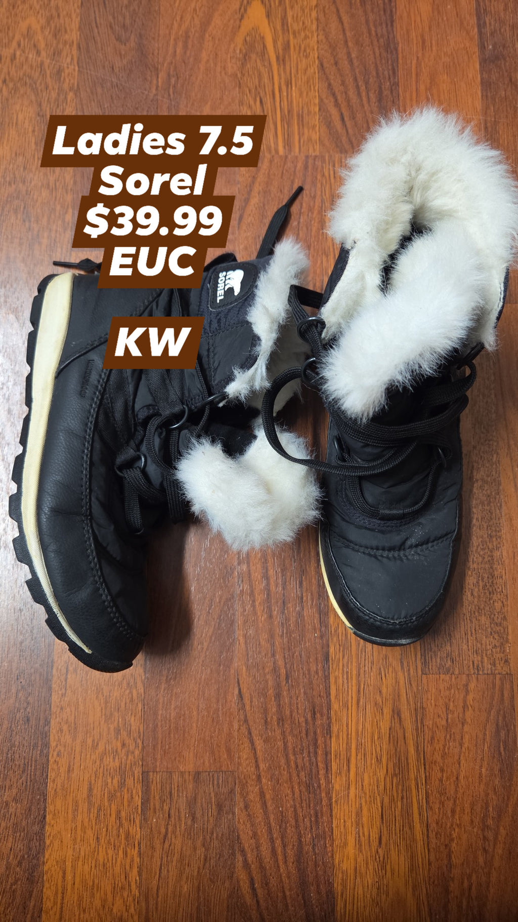 Ladies 7.5