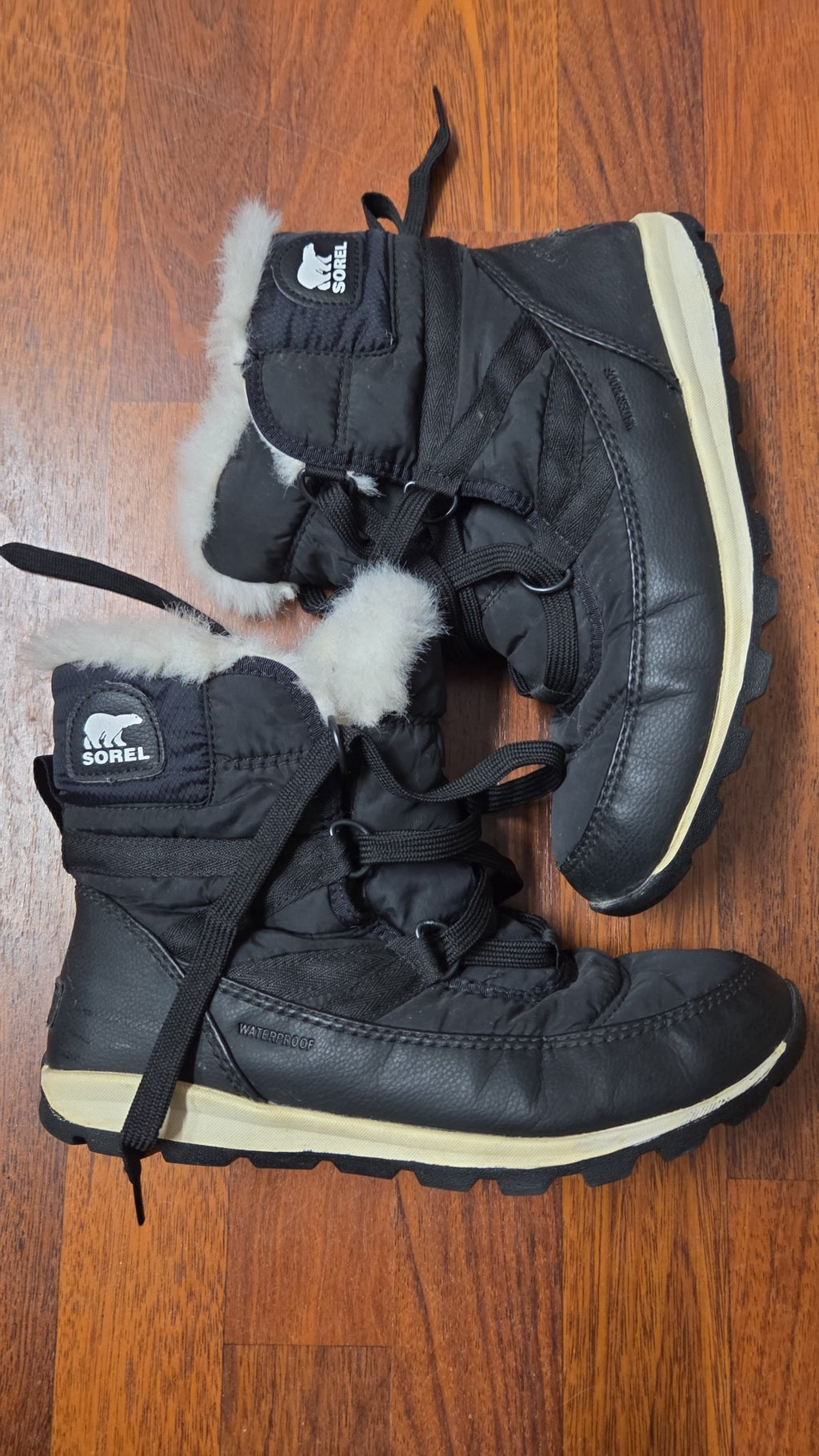Ladies 7.5