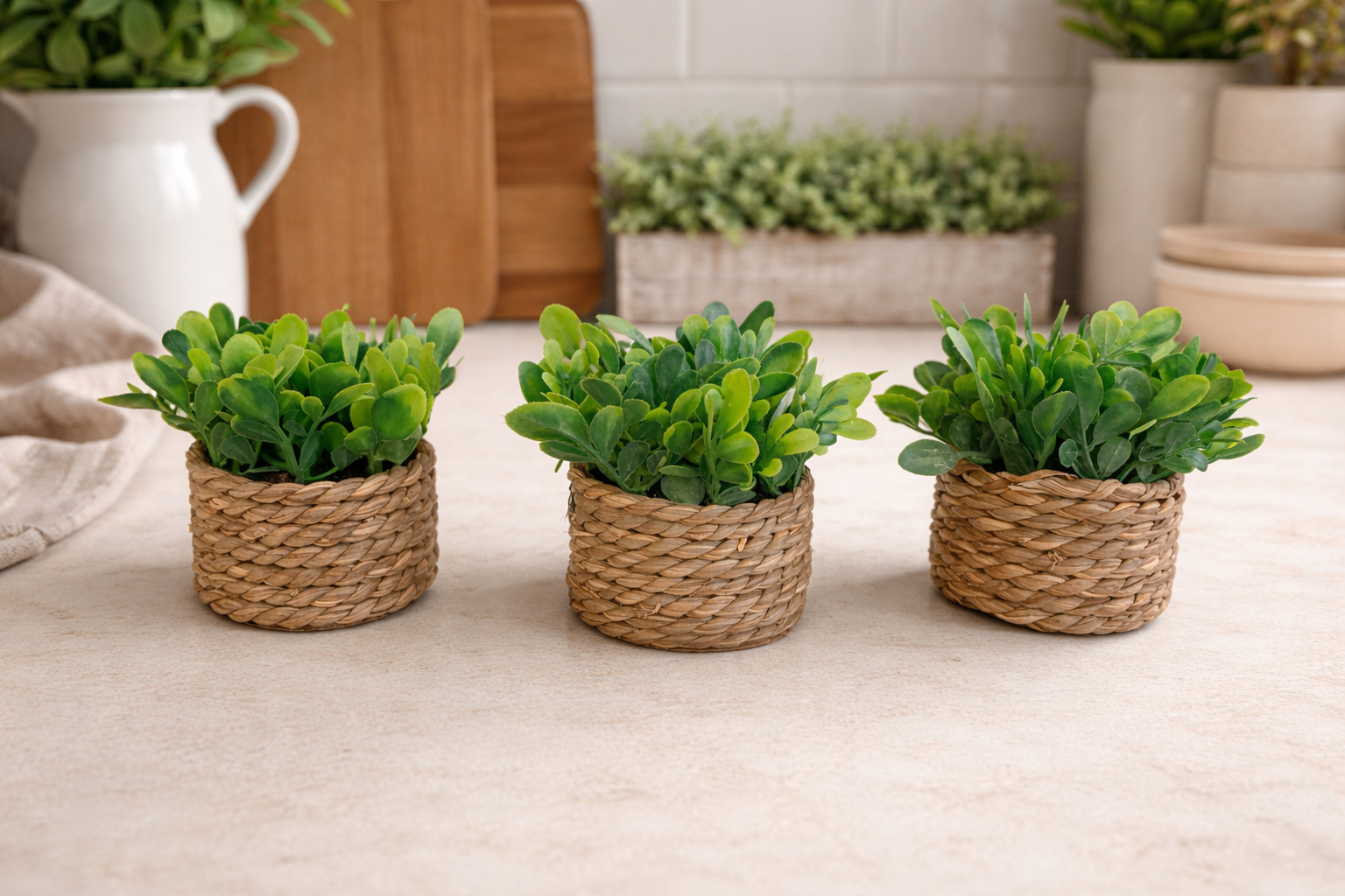 Set of 3 - Whicker plants