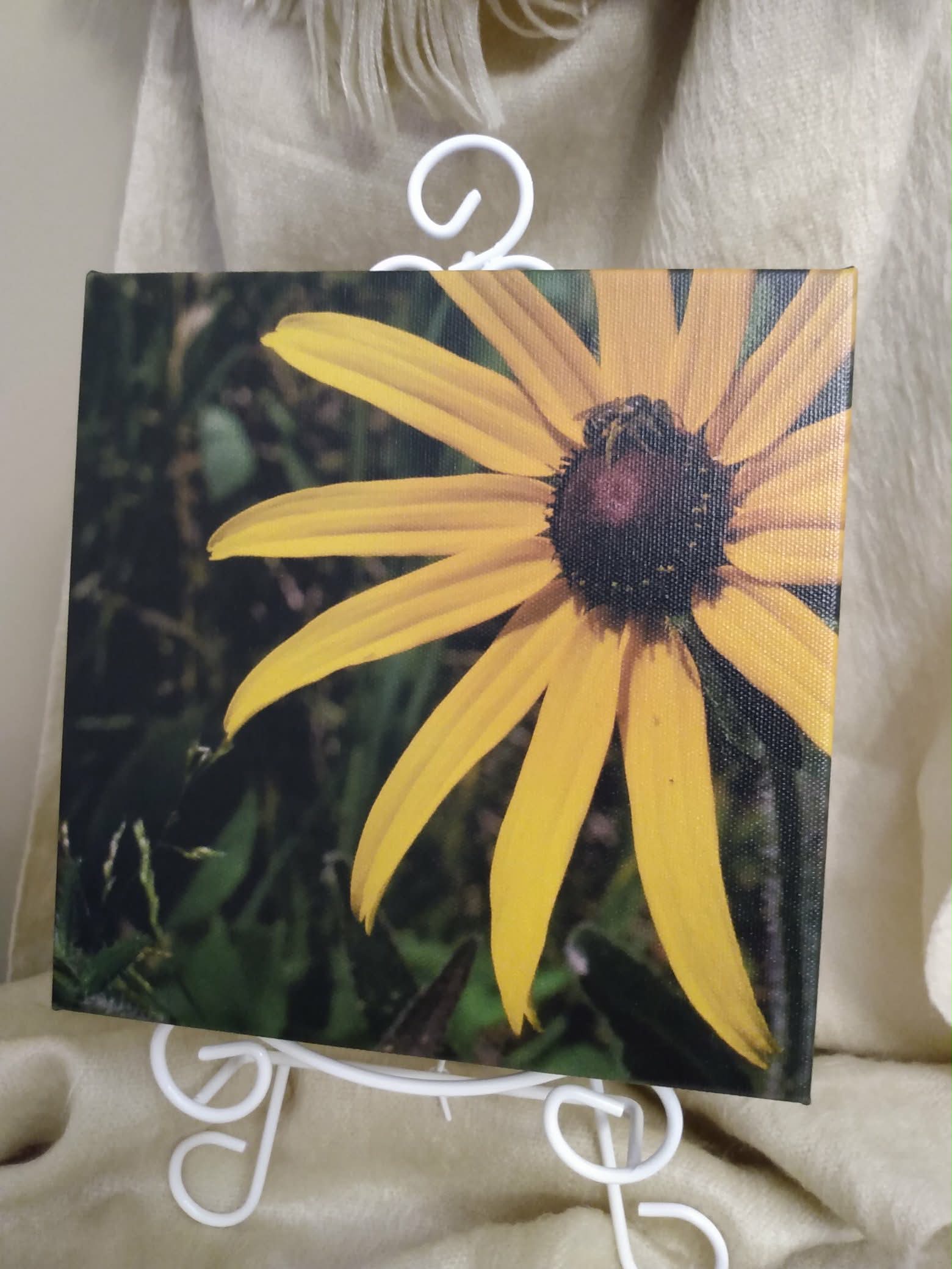 Frame It - Framed Print - 8x8x1.5 Canvas - Multiple Available - Available for pickup instore ONLY at 90 Samnah Crescent in Ingersoll