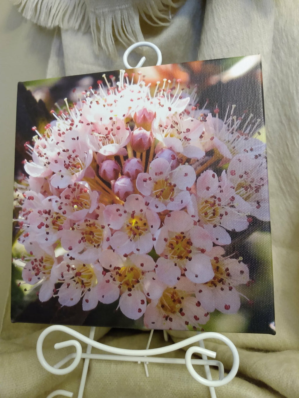 Frame It - Framed Print - 8x8x1.5 Canvas - Multiple Available - Available for pickup instore ONLY at 90 Samnah Crescent in Ingersoll