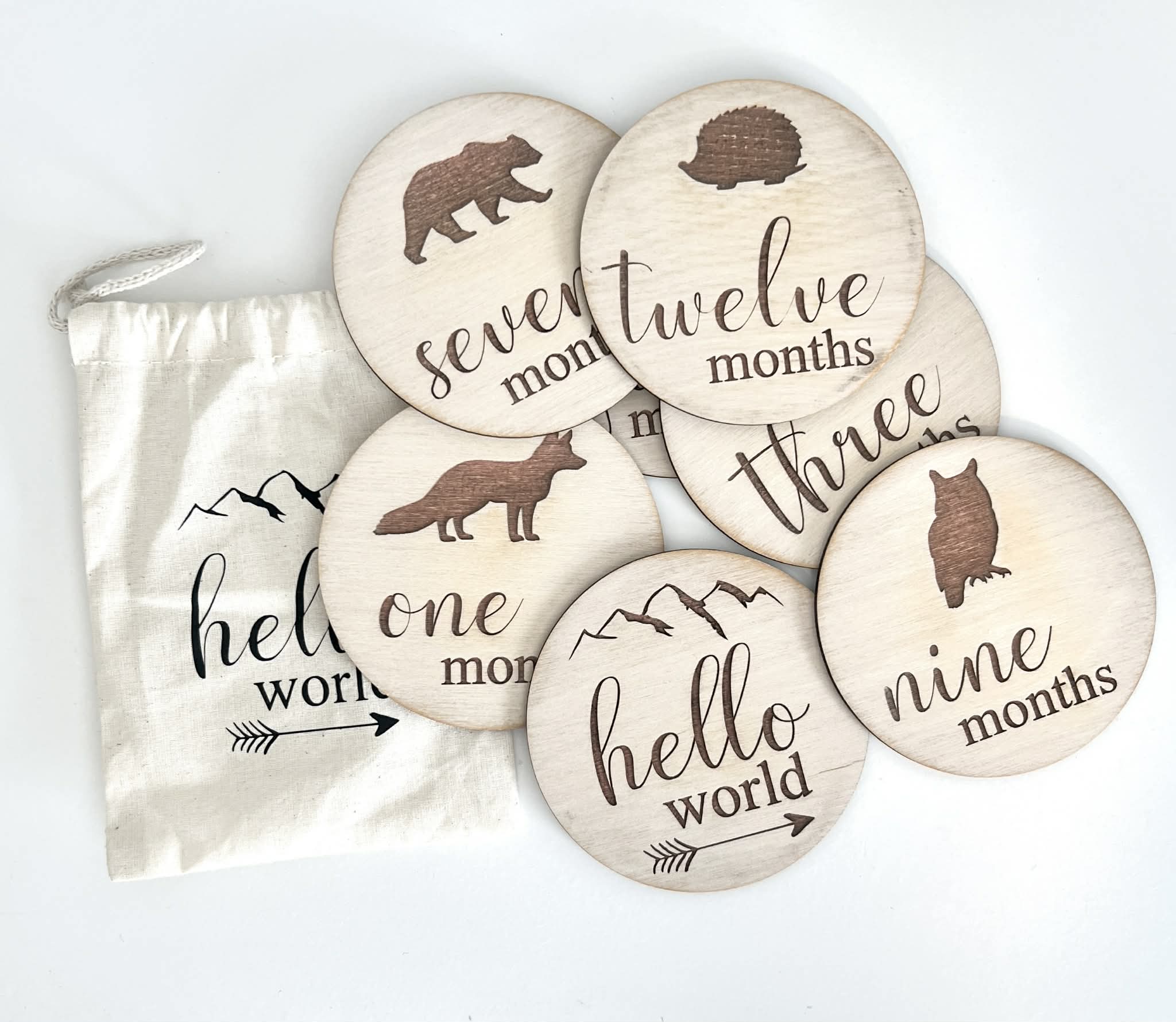 Camy Girl Makery - Hello World wooden month signs